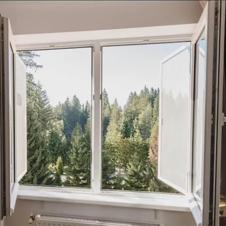 Poiana Apartmán *